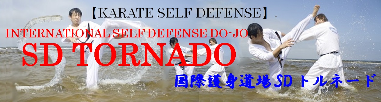  SELF DEFENSE KARATE SD TORNADO